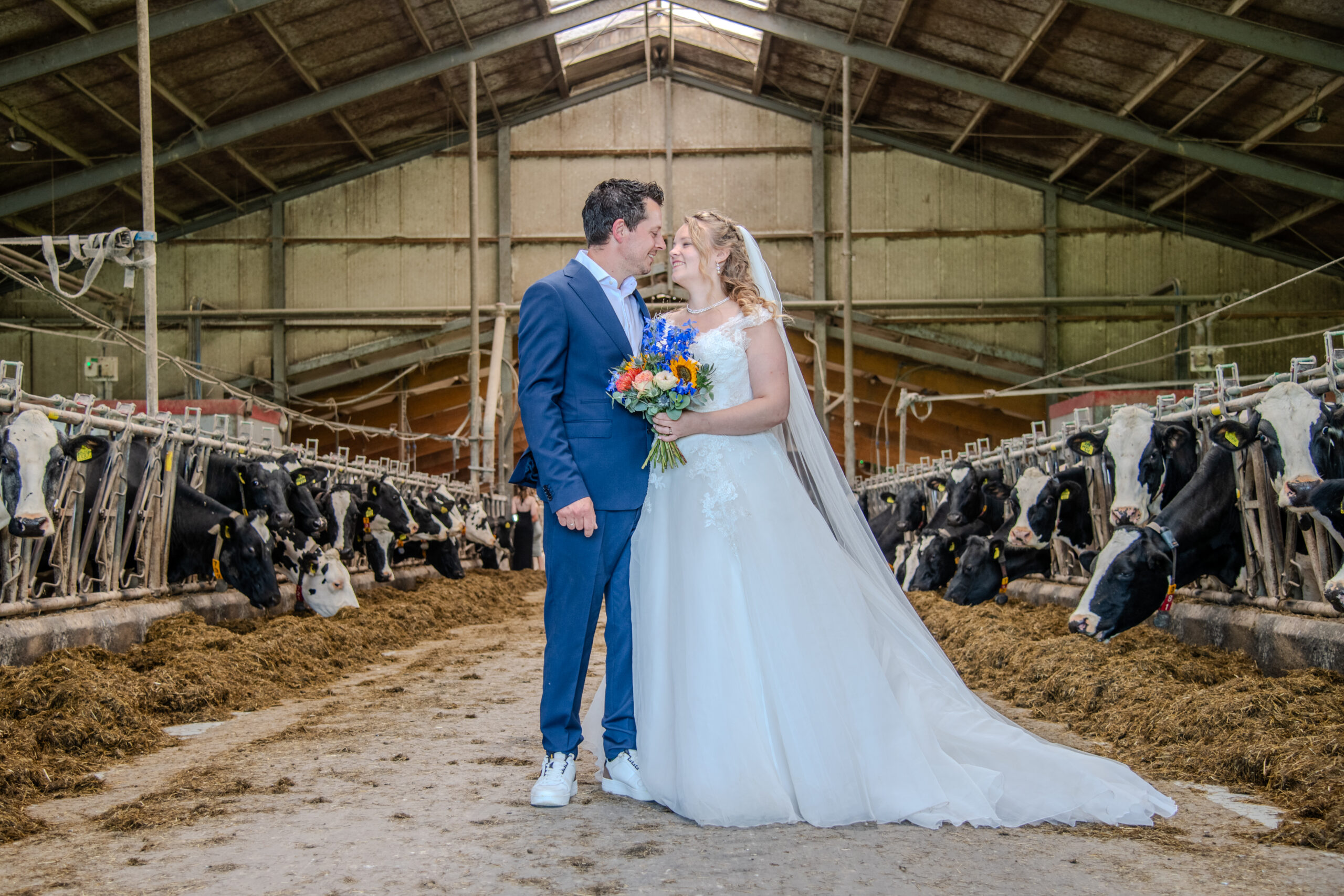 Riemy Reitsma Fotografie &bull; Rockgood Design - Graffische Vormgeving Friesland