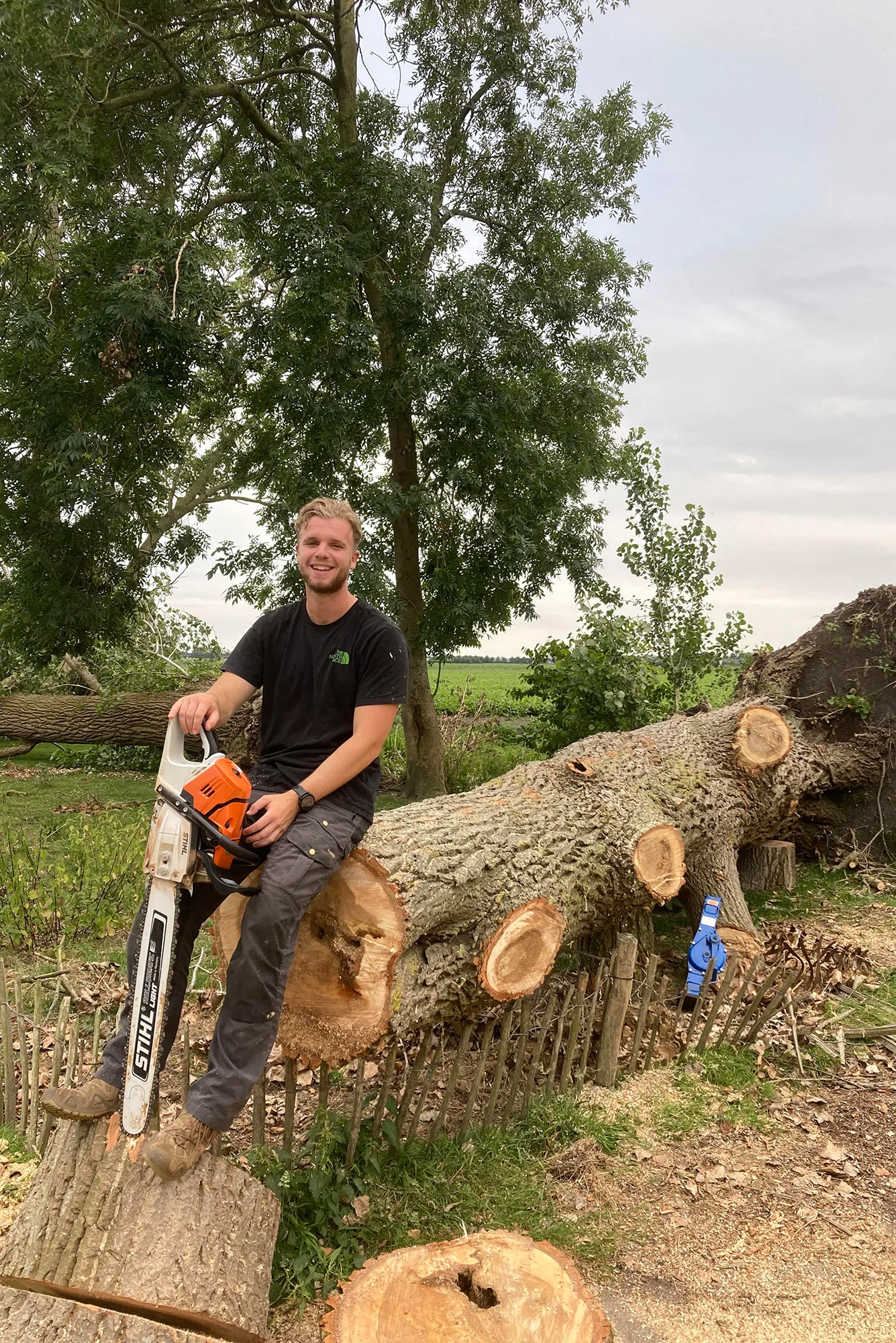 Boom Topper &bull; Rockgood Design - Graffische Vormgeving Friesland